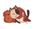 Funny Cat and Dog Sleeping Together, Cute Pets Animals Characters are Best Friends Vector illustration Royalty Free Stock Photo