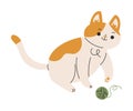 Funny Cat Domestic Pet with Pretty Snout Playing with Yarn Ball Vector Illustration