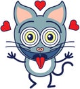 Funny cat feeling madly in love