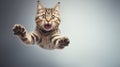 Funny cat flying. A playful tabby cat jumping mid-air looking at camera