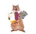 Funny cat with glasses and tie. the concept of financier