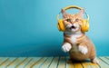 A funny cat listens to music on headphones and sings on a colored background, close-up muzzle