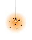 Light bulb hanging and flies insects silhouettes illustration