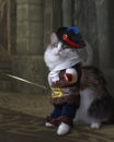 Funny cat in musketeer costume puppet