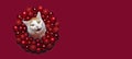 Funny cat peeking through a red Christmas wreath. Royalty Free Stock Photo