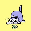 Funny cat preys on the beetle. Vector illustration. Royalty Free Stock Photo
