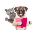 Funny cat and smart puppy with book. isolated on white background