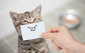 Funny cat with smile on cardboard sitting near food Royalty Free Stock Photo