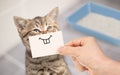 Funny cat with crazy smile sitting near clean toilet Royalty Free Stock Photo