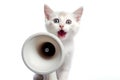 Funny Cat Speaks Into Loudspeaker On White Background. Generative AI