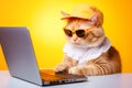 Funny cat in sunglasses working on the laptop on yellow background. A funny image of a cat wearing sunglasses and Royalty Free Stock Photo
