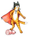 Funny cat super hero with sausage illustration Royalty Free Stock Photo