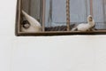 Funny cat taking nap on window Royalty Free Stock Photo