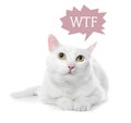 Funny cat with thought bubble and abbreviation WTF