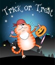 Funny cat trick or treating