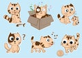 Funny cat vector illustration