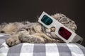 Funny cat watching a movie on television in 3D glasses