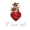 Funny cat Zorro Valentine