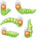 Funny caterpillar