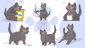 Funny cats big vector set. Set of funny stickers with cat. Good for postcards, t-shirts, positive themes