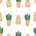Funny cats and blooming cactuses seamless pattern on white.