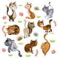 Funny Cats Characters Set