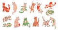 Funny cats. Cute colorful adorable animals in different poses. Doodle drawing stickers. Sitting and playing kitty. Happy Royalty Free Stock Photo