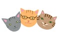 Funny cats muzzles set. Hand drawn cute friends kittens head clip art.