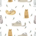 Funny cats seamless pattern on white. Royalty Free Stock Photo