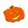 Funny and cheerful pumpkin for Halloween.