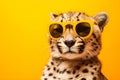 Funny cheetah wearing sunglasses in studio with a colorful and bright background. Generative AI