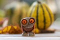 Funny chestnut handcraft owl bird animal with cute face berry eyes leaves wings on wooden bench, ripened pumpkins on background