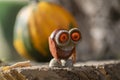 Funny chestnut handcraft owl bird animal with cute face berry eyes leaves wings on wooden bench, ripened pumpkins on background