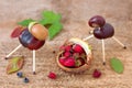 Funny chestnuts figures Royalty Free Stock Photo