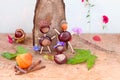Funny chestnuts figure Royalty Free Stock Photo