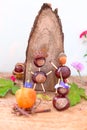 Funny chestnuts figure Royalty Free Stock Photo