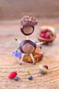 Funny chestnuts figures Royalty Free Stock Photo