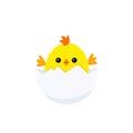 Funny chicken baby inside egg Royalty Free Stock Photo