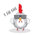 Funny chicken cool