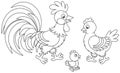 Rooster, hen and chick