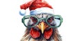 Funny chicken with glasses in christmas outfit. Cool bird. Animal illustration