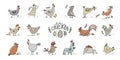 Funny Chicken and Rooster characters. Icons collection isolated on white for your design Royalty Free Stock Photo