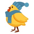 Funny chicken in warm knitted hat and scarf