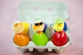 Funny chicks on colorful eggs in eggbox, pink background Royalty Free Stock Photo