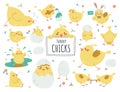 Funny chicks flat icons set. Cheerful easter childish chicken. Painting eggs, dancing and playing on puddle. Cute bird