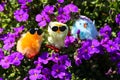 Funny chicks in the garden, purple violets Royalty Free Stock Photo