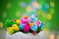 Funny chicks on green background