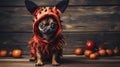 Funny Chihuahua dog in orange Halloween costume, cute pet and pumpkins