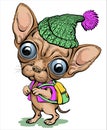 Funny cartoon chihuahua puppy wearing a funny hat and schoolbag