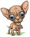 Funny cartoon chihuahua puppy with huge eyes